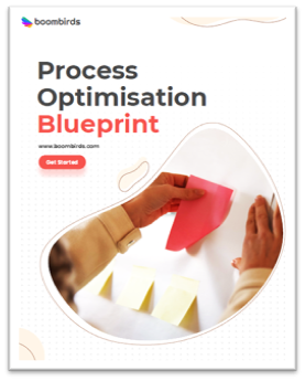 Process optimisation blueprint